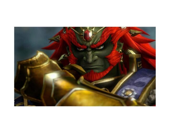 NSW Hyrule Warriors: Definitive Edition - Image 3