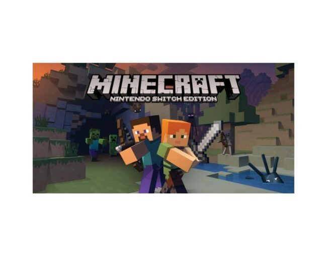 NSW Minecraft: Nintendo Switch Edition - Image 2