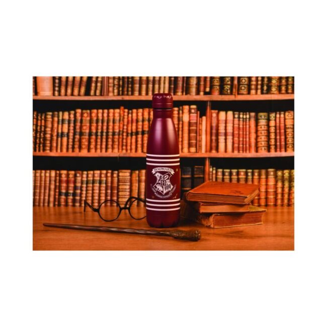 Pyramid Harry Potter - Crest  Stripes Metal Drinks Bottle (550ml) (MDB25453) - Image 2