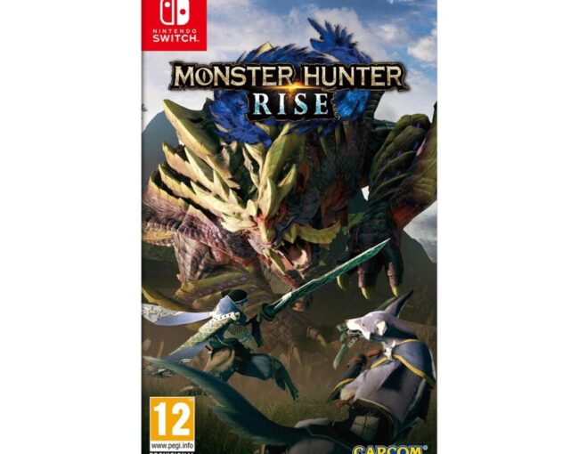 NSW Monster Hunter Rise