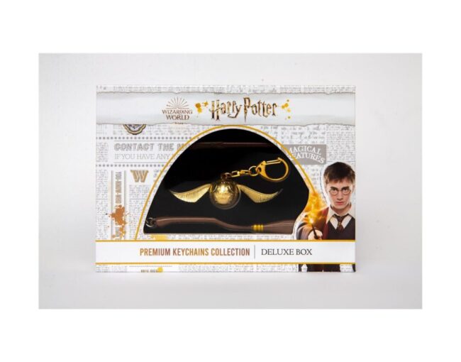 P.M.I. Harry Potter Premium Keychains Collection- 3 Pack Deluxe Box (Random) (HP8350) - Image 2