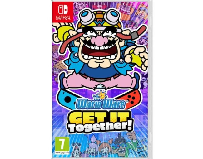 NSW WarioWare: Get it Together!