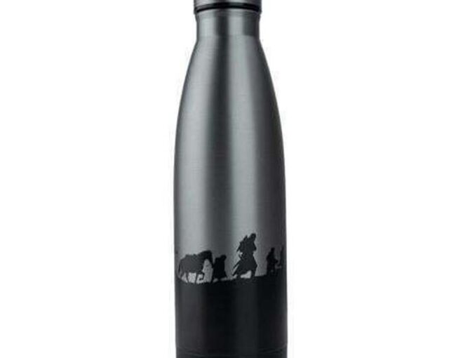 Cinereplicas Movies: The Lord of the Rings - Fellowship of the Ring Thermo Water Bottle (500ml) (CR4053)