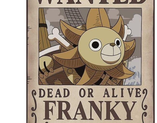 Abysse One Piece - Wanted Franky Poster Chibi (52x38cm) (GBYDCO645)