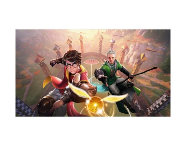 PS4 Harry Potter: Quidditch Champions - Deluxe Edition - Image 3