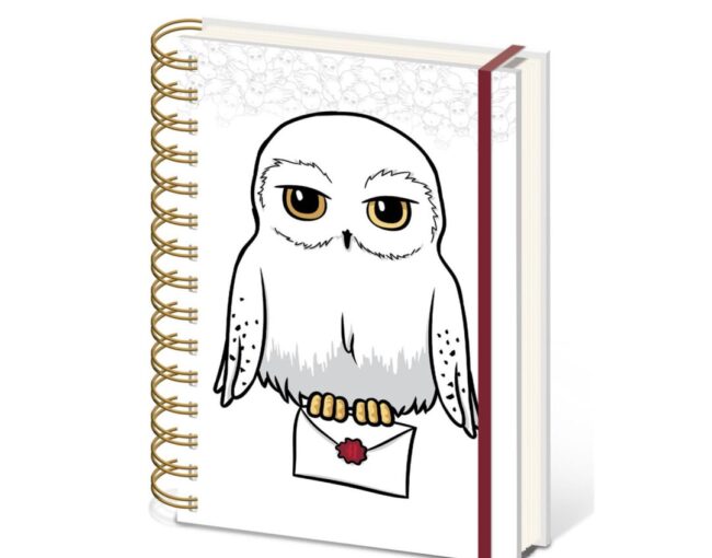 Pyramid: Harry Potter - Special Delivery A5 Wiro Notebook (SR74526)