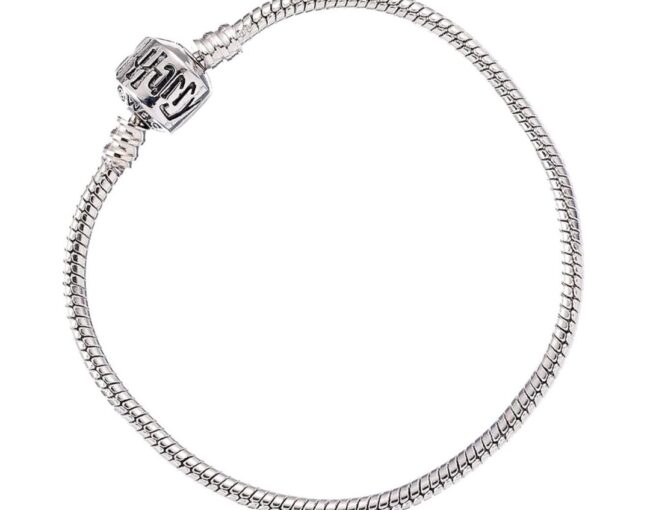 Carat Shop Harry Potter - Charm Bracelet 19cm Silver (HP0028-19)